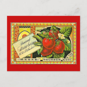 Thurber Strawberries Vintage Crate Label Vintage Postcard