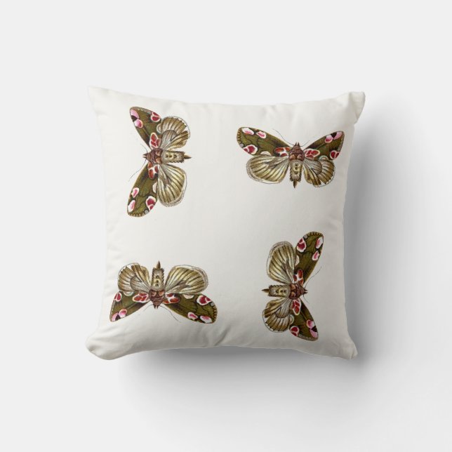 Thyatira batis - The Peach Blossom Moth Cushion (Front)