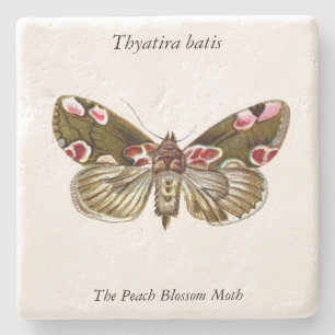 Thyatira batis - The Peach Blossom Moth Stone Coaster