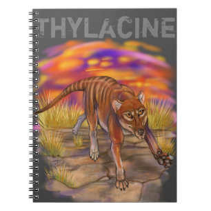 Thylacine Notebook