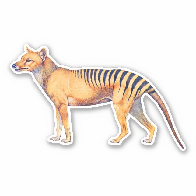 Thylacine (Tasmanian Tiger) (Front)
