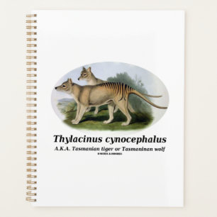 Thylacinus cynocephalus (Tasmanian tiger or wolf) Planner