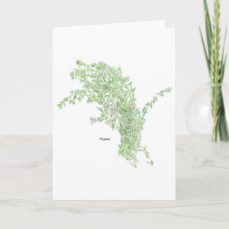 Thyme Drawing Card