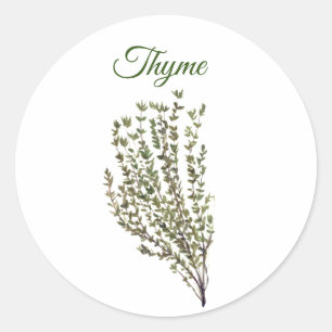 Thyme Herb Greenery Kitchen Culinary Green Plant Classic Round Sticker
