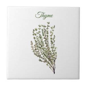 Thyme Herb Greenery Kitchen Culinary Green Plant  Tile