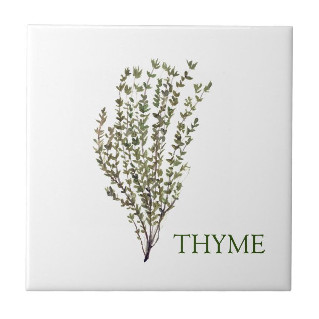 Thyme Herb Greenery Kitchen Culinary Green Plant  Tile (Front)