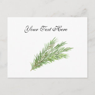 Thyme herbs botanical Greenery watercolor Kitchen Postcard