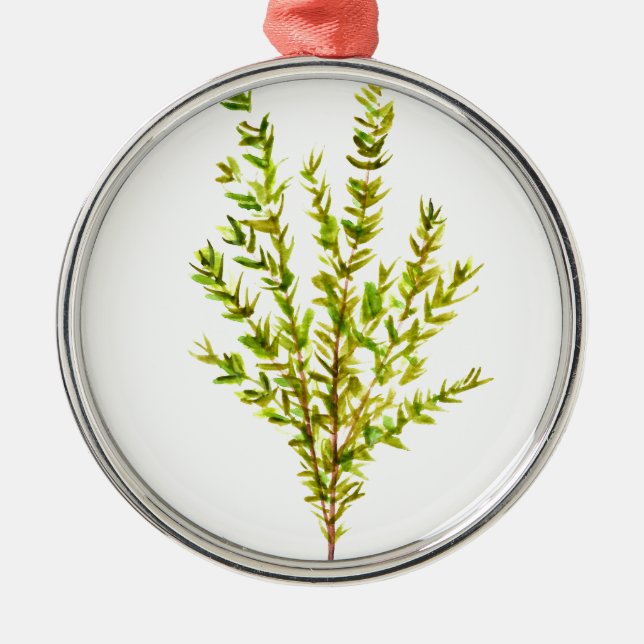 Thyme herbs Botanical herb Metal Tree Decoration (Front)