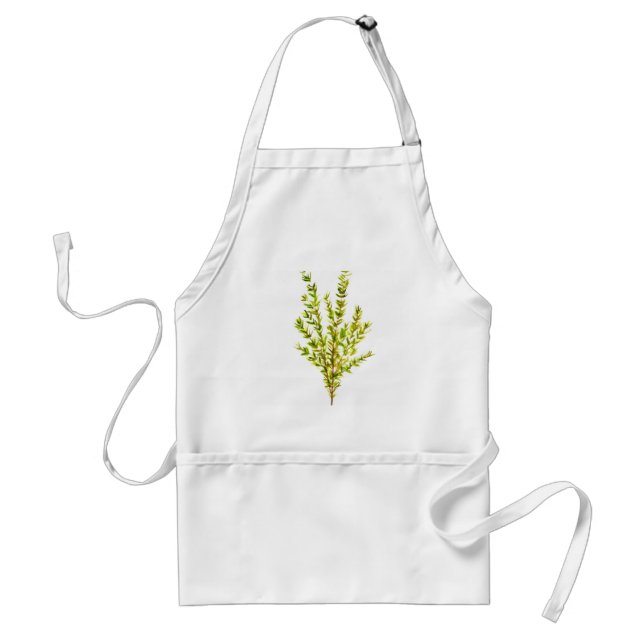 Thyme herbs Botanical herb Rustic watercolor  Standard Apron (Front)