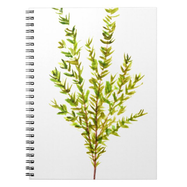 Thyme herbs Botanical herb Spiral Notebook (Front)