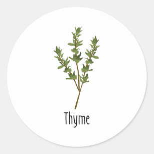 Thyme Spices Herb Classic Round Sticker