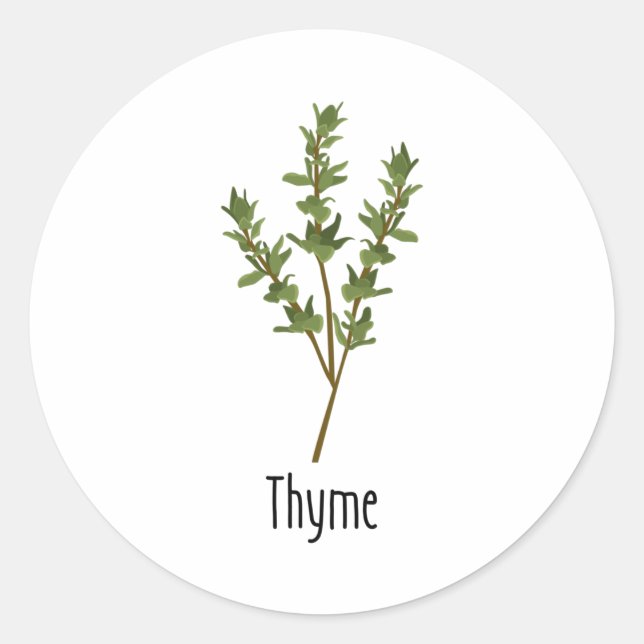 Thyme Spices Herb Classic Round Sticker (Front)