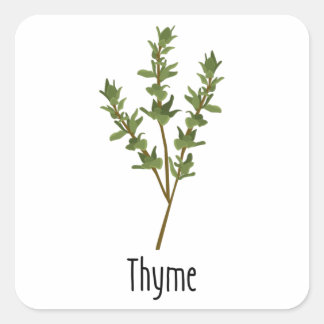 Thyme Spices Herb Square Sticker