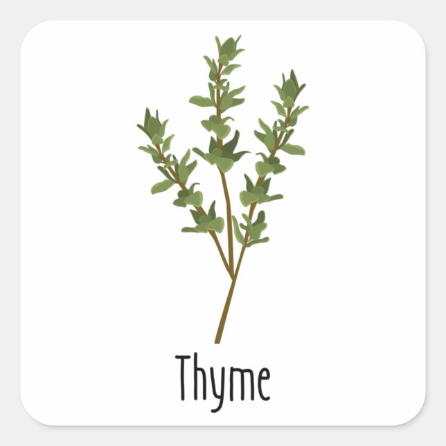 Thyme Spices Herb Square Sticker (Front)