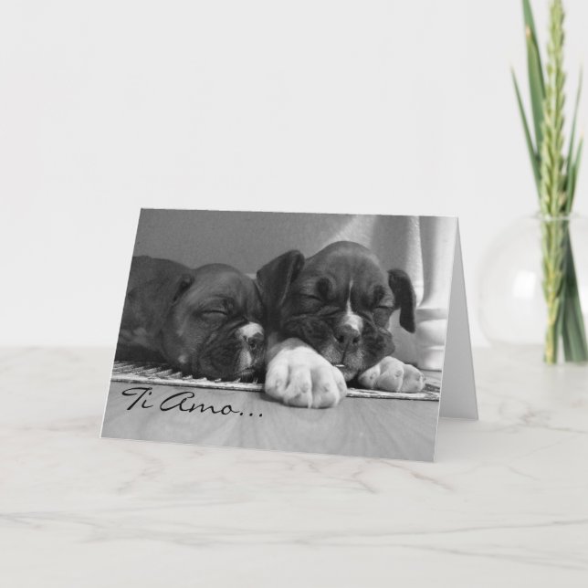 Ti Amo Boxer puppies Greeting Card (Front)