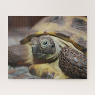 Tibbs Jigsaw Puzzle