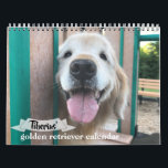 Tiberius' 2021 Golden Retriever Dog Calendar<br><div class="desc">This calendar features 12 months of golden retriever dog Tiberius, of AugieDoggy.com fame! Ti can be seen in all his cuteness, just enjoying the best doggy life ever! Follow him to the park, home, and everywhere in between. We dedicate it to our Augie, who went to the rainbow bridge on...</div>