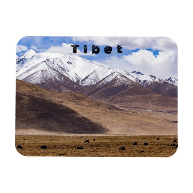 Tibet - Mountain landscape with yaks Magnet (Horizontal)