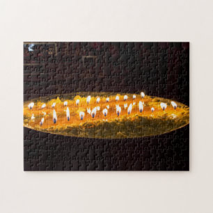 Tibet - Ritual butter lamp Jigsaw Puzzle