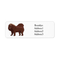 Tibetan Mastiff dog cartoon illustration 