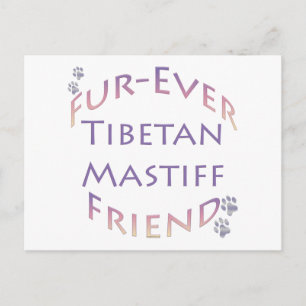 Tibetan Mastiff Furever Friend Postcard