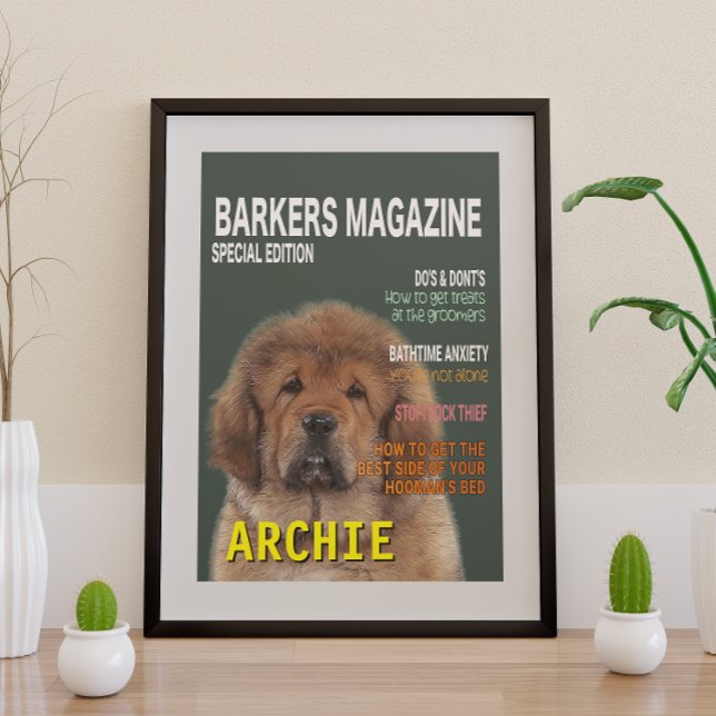 Tibetan Mastiff Parody Magazine Cover Poster (Creator Uploaded)