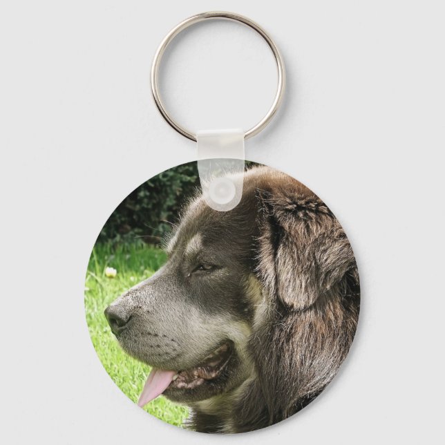 tibetan mastiff.png key ring (Front)