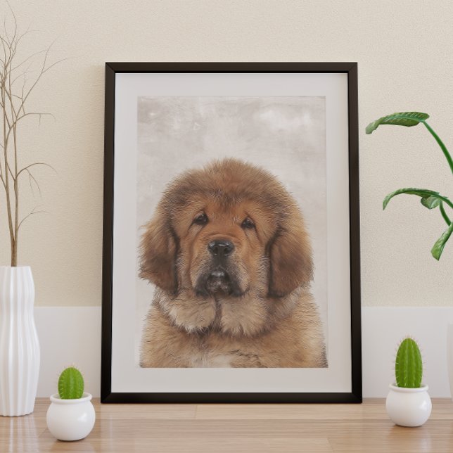 Tibetan Mastiff Poster (Creator Uploaded)
