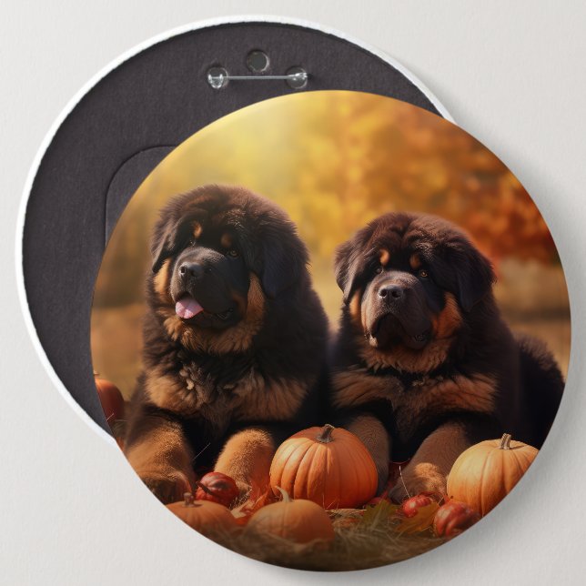 Tibetan Mastiff Puppy Autumn Delight Pumpkin  6 Cm Round Badge (Front & Back)