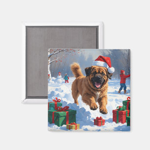 Tibetan Mastiff Running in Snow with Christmas Hat Magnet