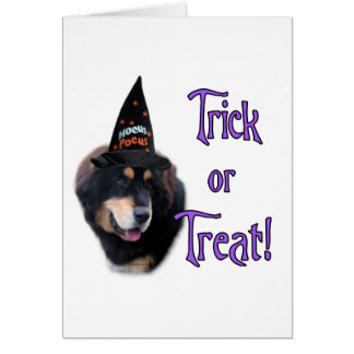 Tibetan Mastiff Trick