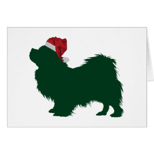 Tibetan Spaniel
