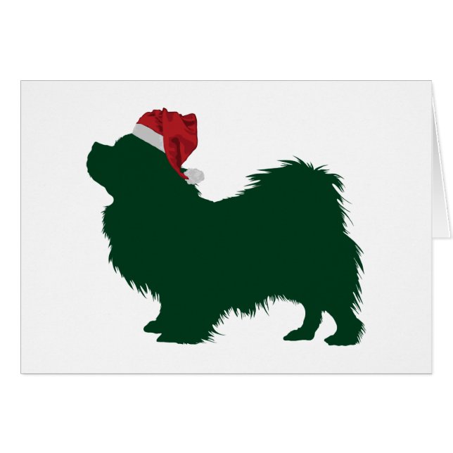 Tibetan Spaniel (Front Horizontal)