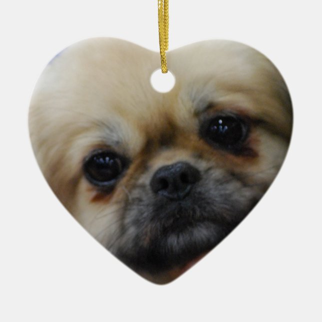 tibetan-spaniel-5.jpg ceramic tree decoration (Front)