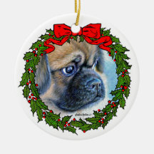 Tibetan Spaniel Drawing by Glenda S. Harlan