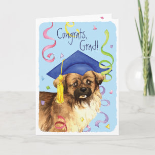 Tibetan Spaniel Graduate Card