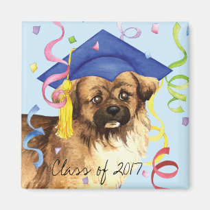 Tibetan Spaniel Graduate Magnet