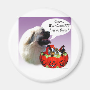 Tibetan Spaniel Halloween Candy Magnet