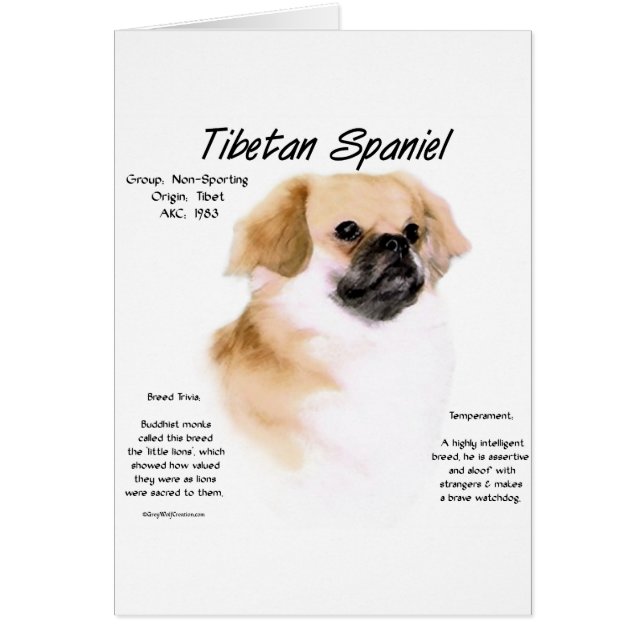 Tibetan Spaniel History Design (Front)