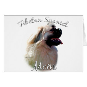 Tibetan Spaniel Mum 2