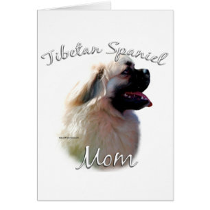 Tibetan Spaniel Mum 2