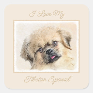 Tibetan Spaniel Painting - Cute Original Dog Art S Square Sticker