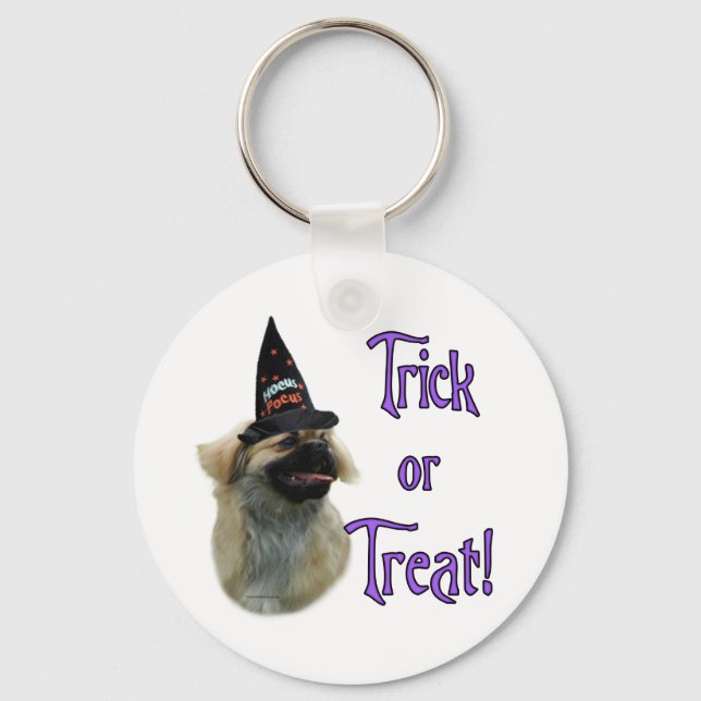 Tibetan Spaniel Trick Key Ring (Front)