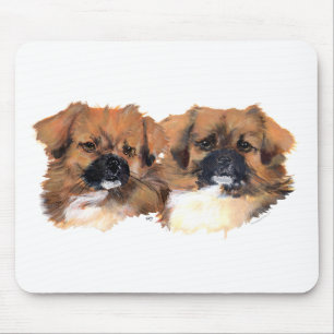 Tibetan Spaniels Head Study Mouse Pad