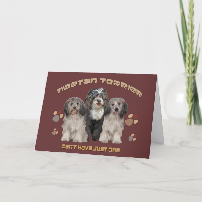 Tibetan Terrier All Occasion Greeting Card (Front)