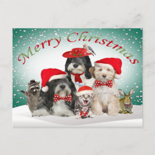 Tibetan Terrier Christmas With Friends Holiday Postcard