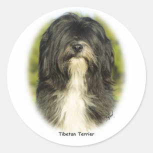 Tibetan Terrier Classic Round Sticker