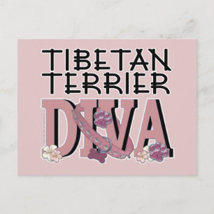 Tibetan Terrier DIVA Postcard