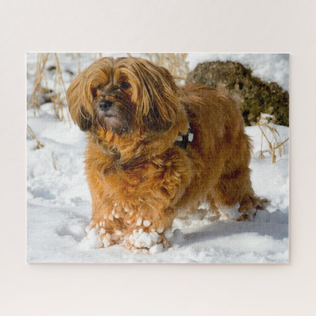 Tibetan Terrier Dog Jigsaws. Jigsaw Puzzle (Horizontal)