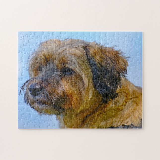 Tibetan Terrier Dog Jigsaws. Jigsaw Puzzle (Horizontal)